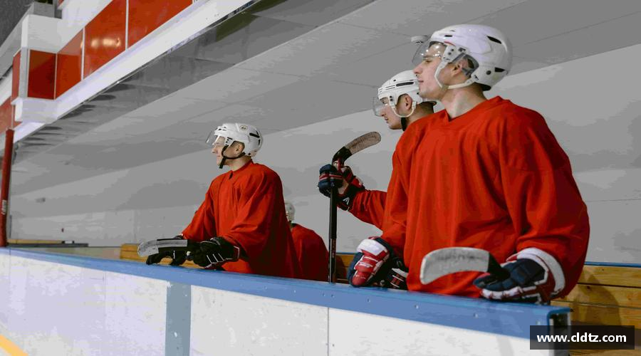 九游娱乐官方网站激情拼搏，共赢未来！